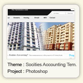 Socities Accounting Template